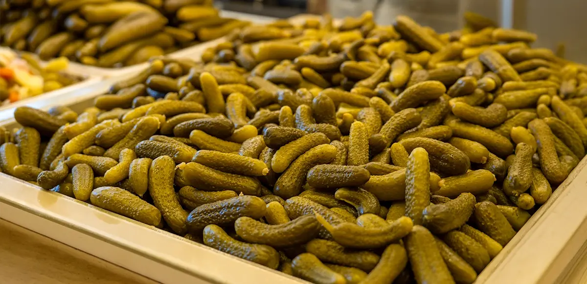 Kış Sofralarının Vazgeçilmezi: Salatalık, Erik ve Lahana Turşularımızın Bu Yılki Hikâyesi